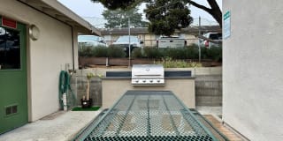 Marina Crescent Gallery 10