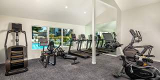 Windscape Village Gallery 21