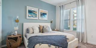 Olea eTown Gallery 12