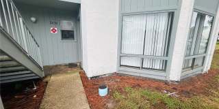 2636 LEMON TREE LN Gallery 1