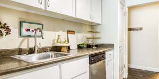 Alder Bellevue Gallery 7