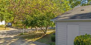 Gorgeous 3 Bedroom Ranch in North Raleigh, updated, pet friendly, fenced-in yard! Gallery 22