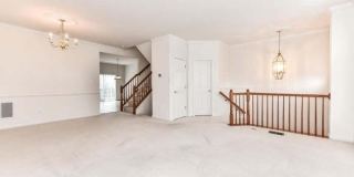 21759 LADYSLIPPER Square Gallery 6