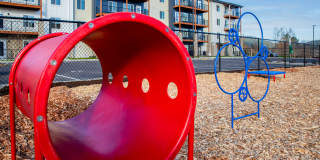 Scouter's Mountain Gallery 23