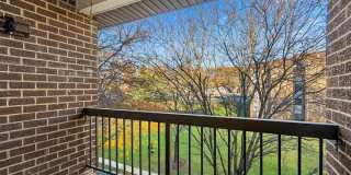 11238 CHERRY HILL Road Gallery 2