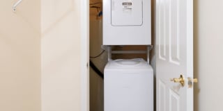 Rosslyn Heights Gallery 78