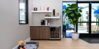 The Strand Gallery 9