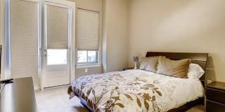 4189 Texas Elm Gallery 14