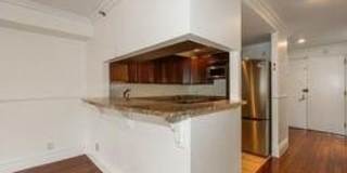 100 cuttermill Road Gallery 13