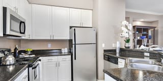 Park Central Gallery 10