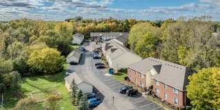 Forest View Gallery 13