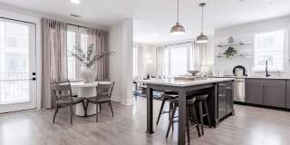 Novel Cary Gallery 13