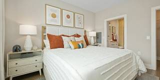 The Scottie Gallery 10