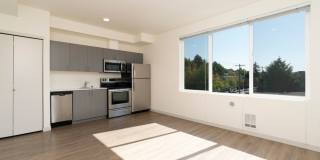 4801 Fauntleroy Apartments Gallery 12