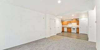 Shorewood Gallery 8