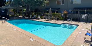 1 bed 1 bath condo in Orinda Gallery 9