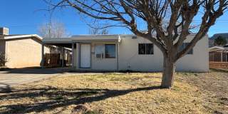 Conveniently located 3 Bedroom, 1 bath home Gallery 1