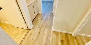Renovated Two Bedroom Two Bathroom Condo North Park Gallery 12