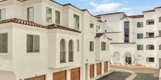 Arista at Ocotillo by Mark-Taylor Gallery 1