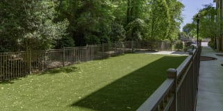 The Collection Gallery 23