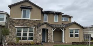 12855 Daylily Coast Lane Gallery 1