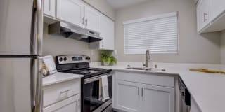Waverly Flats Gallery 1