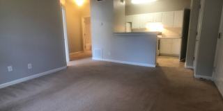 One Bedroom Condo on Whitemarsh Island Gallery 18