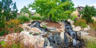 Echo Ridge Gallery 43