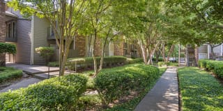 Pear Orchard Gallery 26