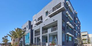 The Willows Gallery 2