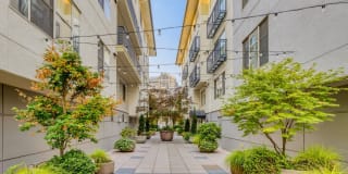Tera Apartments Gallery 34