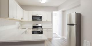 1237 Carroll St., 1 Gallery 5