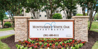 Montgomery White Oak Gallery 18