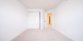 21618 Orchid Path Gallery 21