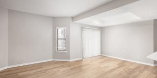 Avana Belmar Gallery 22