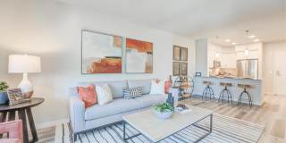 The Avalyn Gallery 7