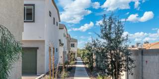 South Mountain Shadows Gallery 4