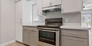 Avana Cordoba Gallery 5