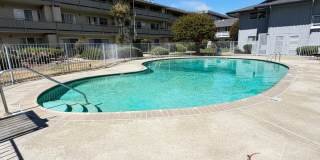 339 Broadway #215 - 30% Rental Fee Gallery 35