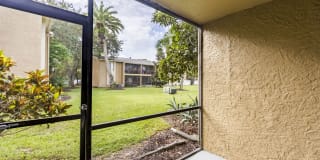 Silver Palms Gallery 9