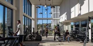 Oro Ballantyne Gallery 36