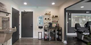 Deer Hill Gallery 67