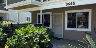 3645 Country Oaks Gallery 1
