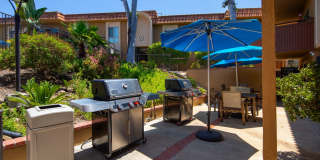 Volterra at La Mesa Gallery 57