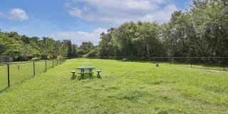 Springs at Palma Sola Gallery 32