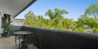 AVA Pacific Beach Gallery 4