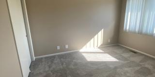 Southdale Square Gallery 85