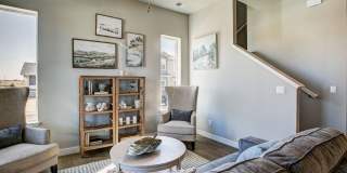 Mangold831 (KC-LN) Gallery 27