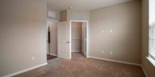 Century Dunes Gallery 26