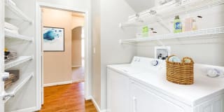 Talon Hill Gallery 30